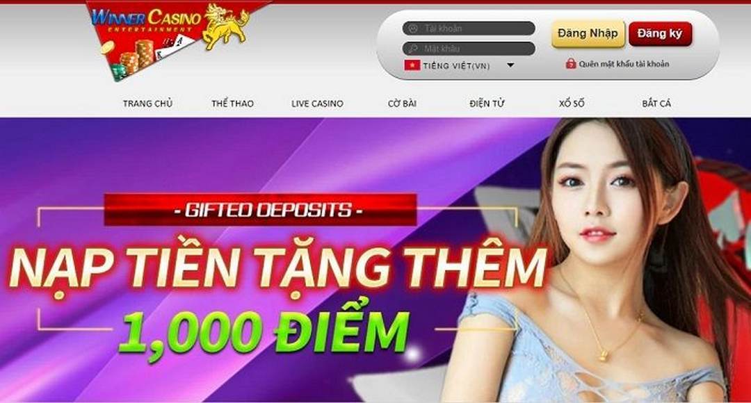 Winner và thông tin giới thiệu sơ lược