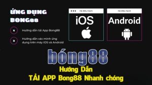 Tải app Bong88 và tận hưởng những khoảnh khắc dài trí tuyệt vời